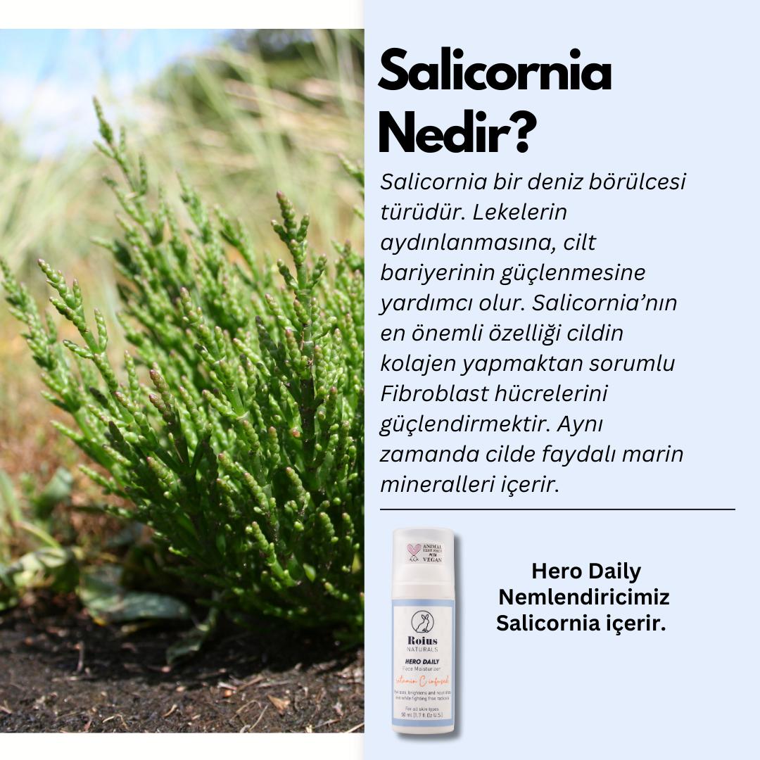 Roius Naturals C vitaminli Hero Daily Nemlendiricide bulunan Salicornia Ne İşe Yarar?