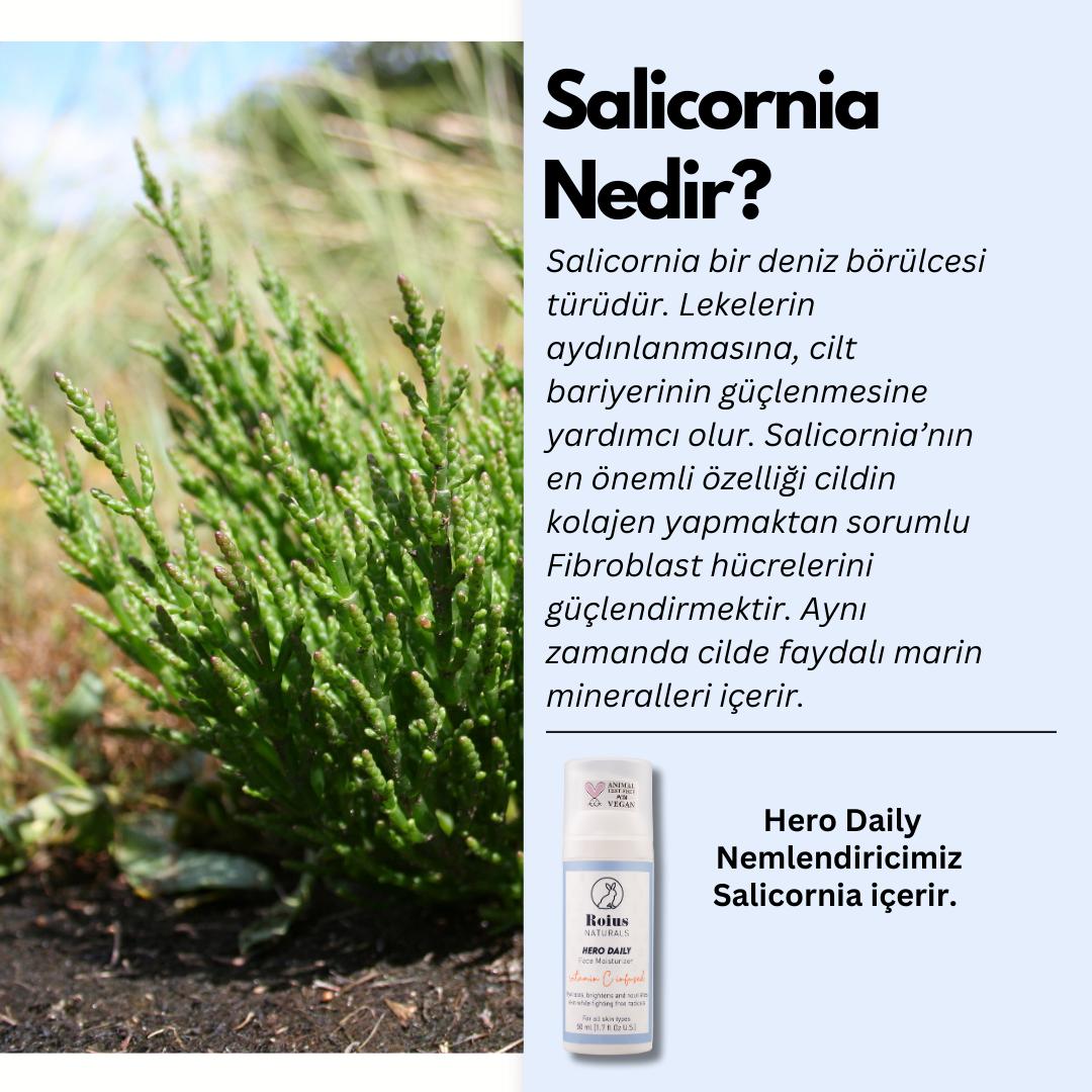 Salicornia Ne İşe Yarar